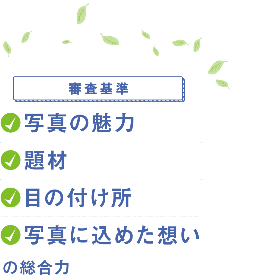 審査基準　●写真の魅力　●題材　●目の付け所　●写真に込めた想い　の総合力
